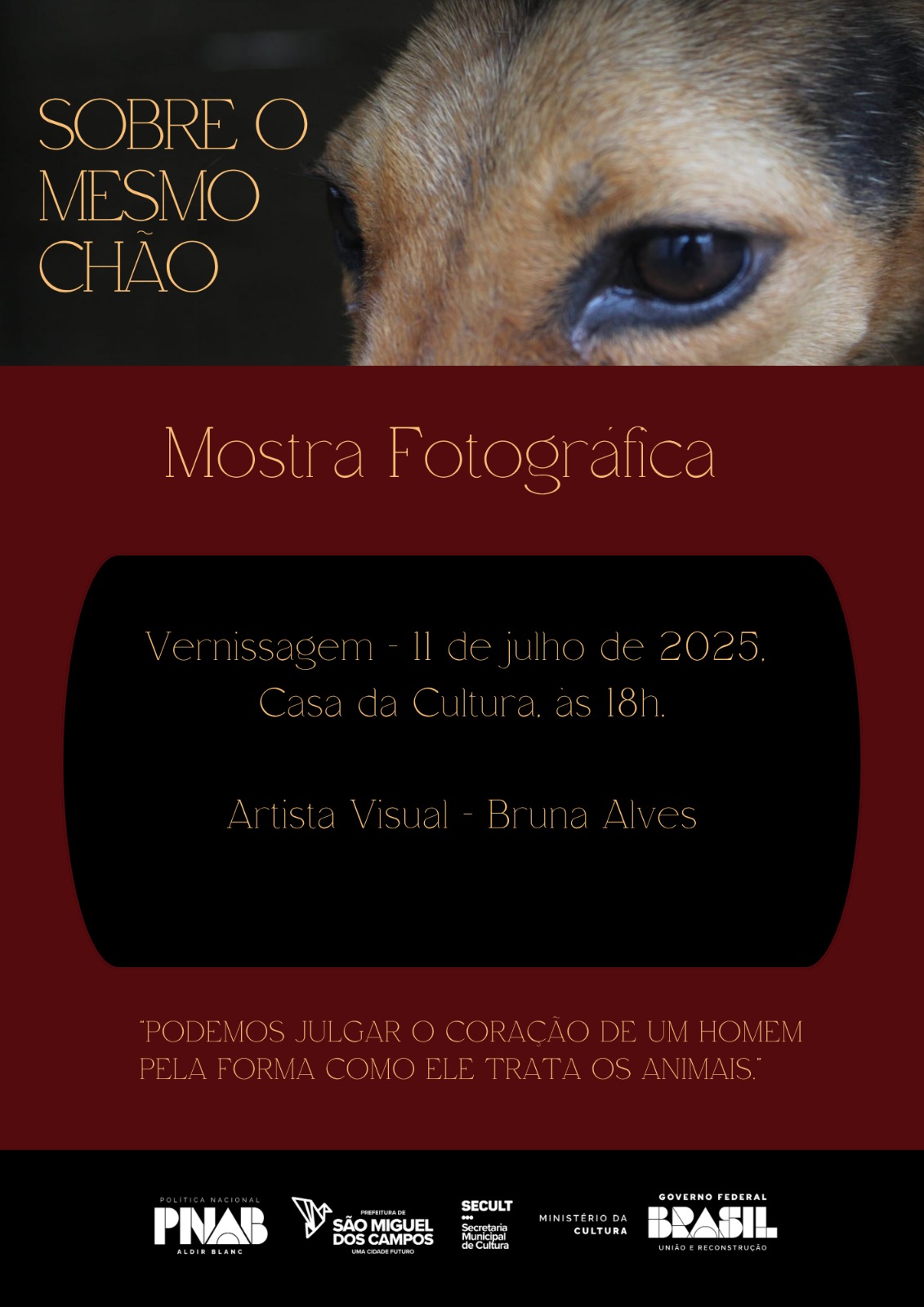 Exposição Fotográfica “Sobre o Mesmo Chão” revela a realidade dos animais em situação de rua
