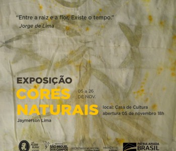 Exposição cores naturais do artista